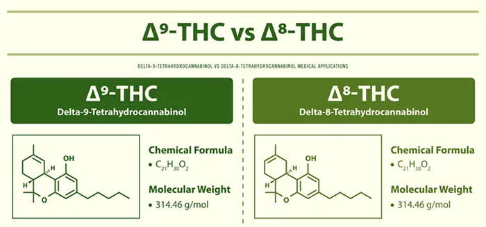 delta9 vs delta8